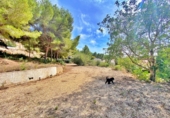 Vil·la amb terreny en venda a Alacant ref.: TR235035 foto