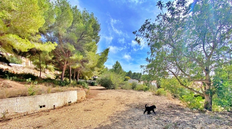 Аликанте - Moraira - 6216m2