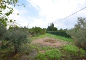 Vil·la amb terreny en venda a Xàbia ref.: TR235024 foto