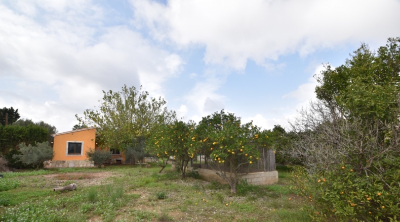 Alicante - Xàbia - 1400m2