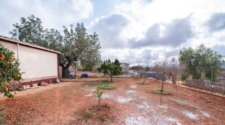 Alicante - Teulada - 4000m2
