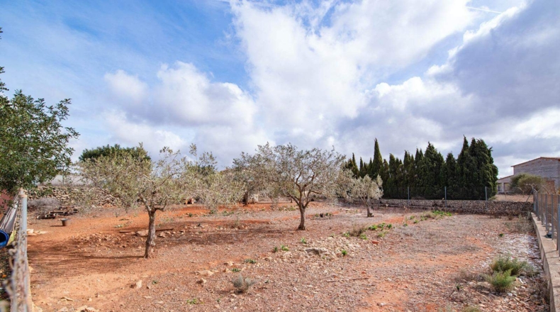 Alicante - Teulada - 4000m2