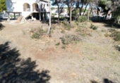 Non-developable land for sale in Alicante ref: TR235004 photo