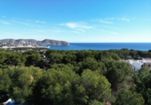 Non-developable land for sale in Alicante ref: TR235004 photo