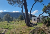 Finca rústica en venda a Dénia ref.: TR234999 foto