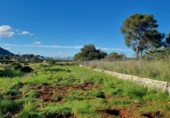 Finca rústica en venda a Dénia ref.: TR234999 foto