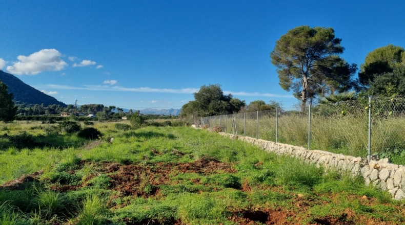 Alicante - Denia - 22000m2