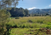 Finca rústica en venda a Dénia ref.: TR234999 foto