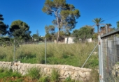 Finca rústica en venda a Dénia ref.: TR234999 foto