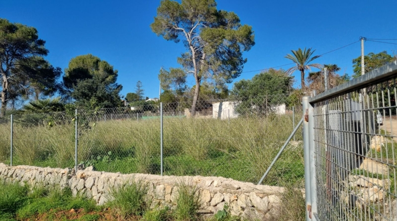 Alicante - Denia - 22000m2
