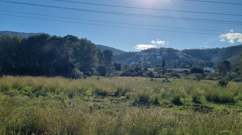 Alicante - Denia - 22000m2