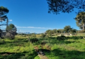 Finca rústica en venda a Dénia ref.: TR234999 foto
