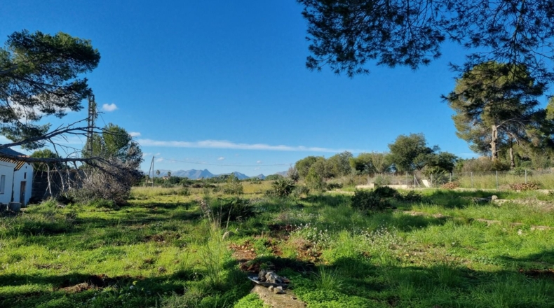 Alicante - Denia - 22000m2