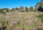 Finca rústica en venda a Dénia ref.: TR234999 foto