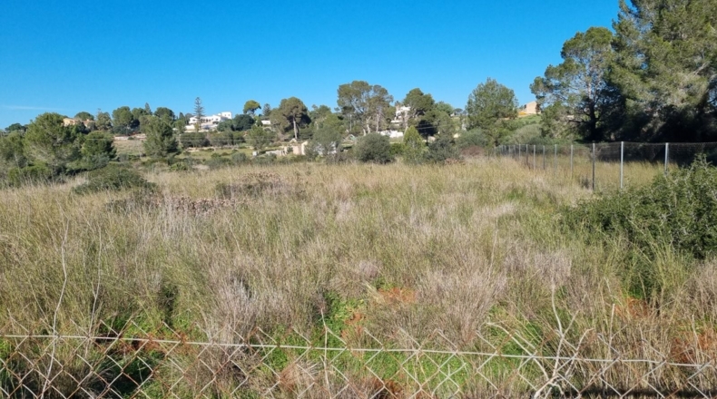 Alicante - Denia - 22000m2