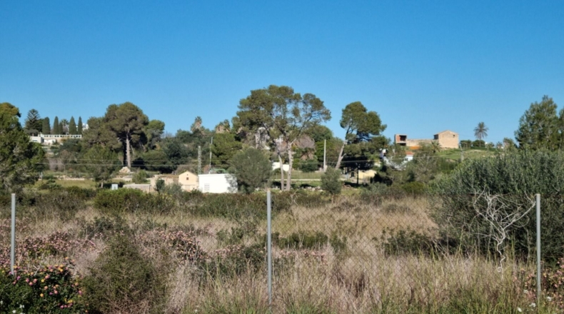 Alicante - Denia - 22000m2