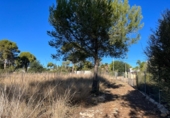 Finca rústica en venda a Dénia ref.: TR234999 foto
