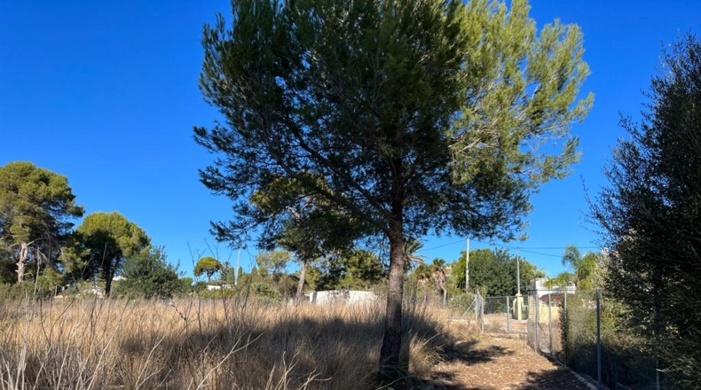 Alicante - Denia - 22000m2