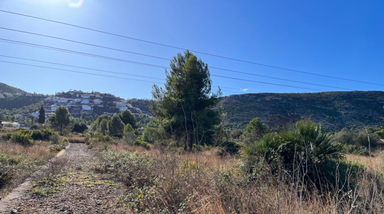 Alicante - Denia - 22000m2