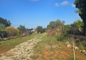 Non-developable land for sale in Sella ref: TR367075 photo