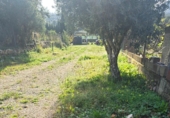 Non-developable land for sale in Sella ref: TR367075 photo