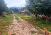 Non-developable land for sale in Sella ref: TR367075 photo