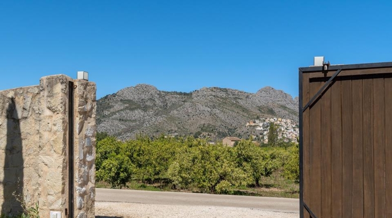Alicante - Benidoleig - 11500m2