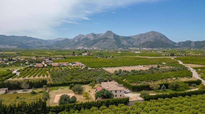 Alicante - Benidoleig - 11500m2
