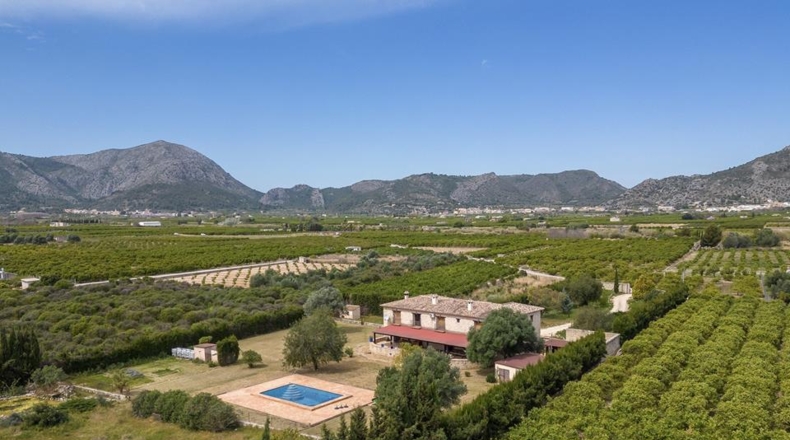 Alicante - Benidoleig - 11500m2