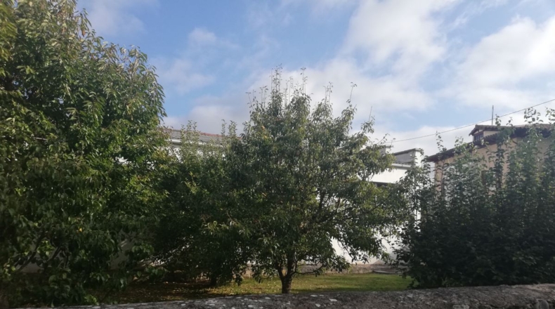 Burgos - Franco - 250m2