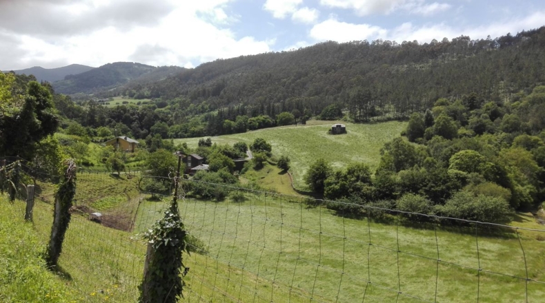 Asturias - Busnovo - 15700m2
