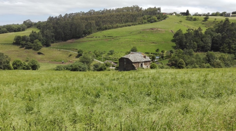 Asturias - Busnovo - 15700m2