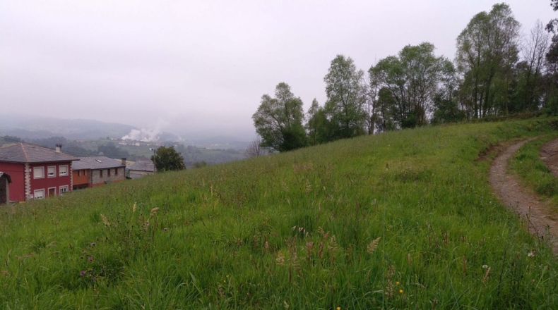 Asturias - Folgueiras - 1700m2
