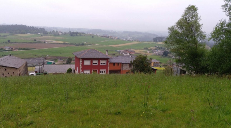 Asturias - Folgueiras - 1700m2