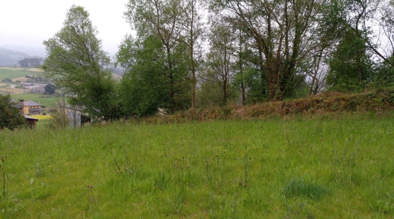 Asturias - Folgueiras - 1700m2