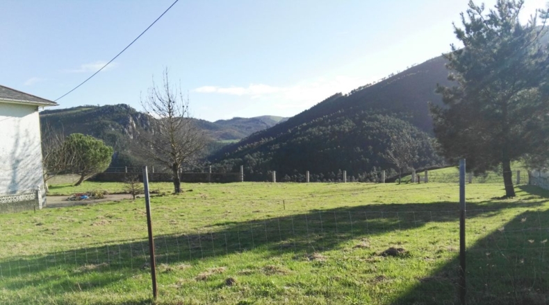 Asturias - Villapedre - 1250m2