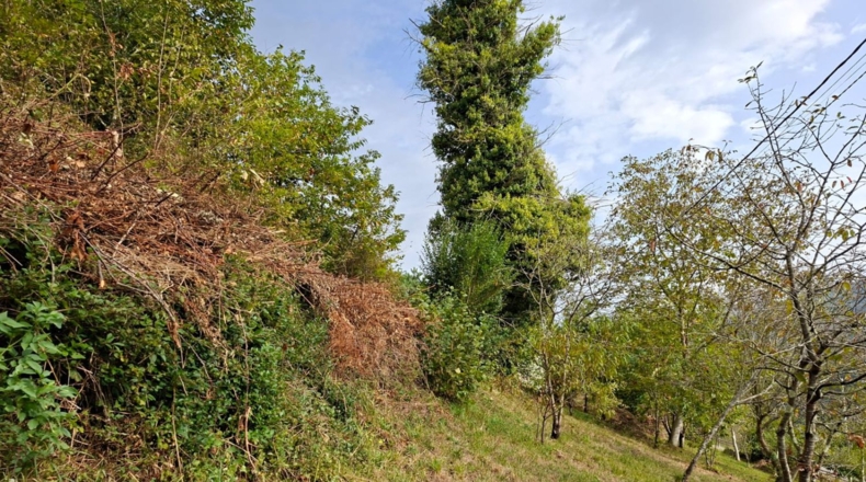 Asturias - Villayón - 2262m2