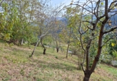Finca rústica en venda a Villayón ref.: TR17737 foto