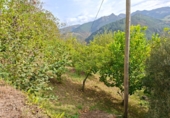 Finca rústica en venda a Villayón ref.: TR17737 foto