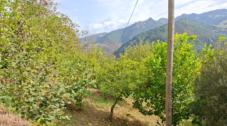 Asturias - Villayón - 2262m2