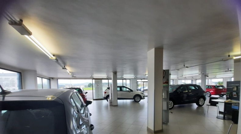 Asturias - Campos y Salave - 4477m2