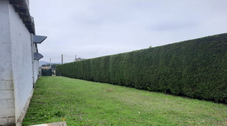 Asturias - Campos y Salave - 4477m2