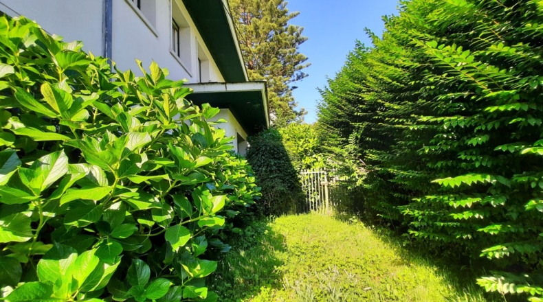 Asturias - Buenavista - 1440m2