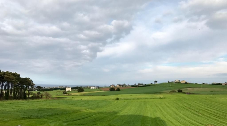 Asturias - Villapedre - 10000m2