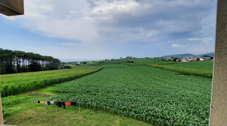 Asturias - Villapedre - 10000m2