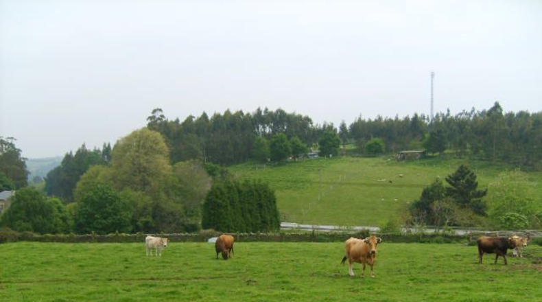 Asturias - Folgueiras - 16968m2