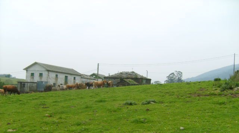 Asturias - Folgueiras - 16968m2