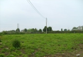 Non-developable land for sale in Coaña ref: TR68103 photo