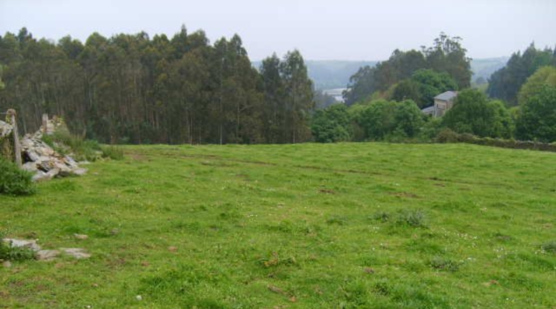 Asturias - Folgueiras - 16968m2
