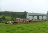 Non-developable land for sale in Coaña ref: TR68103 photo